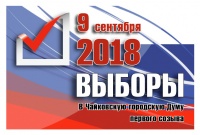 75 кандидатов на 25 депутатских кресел